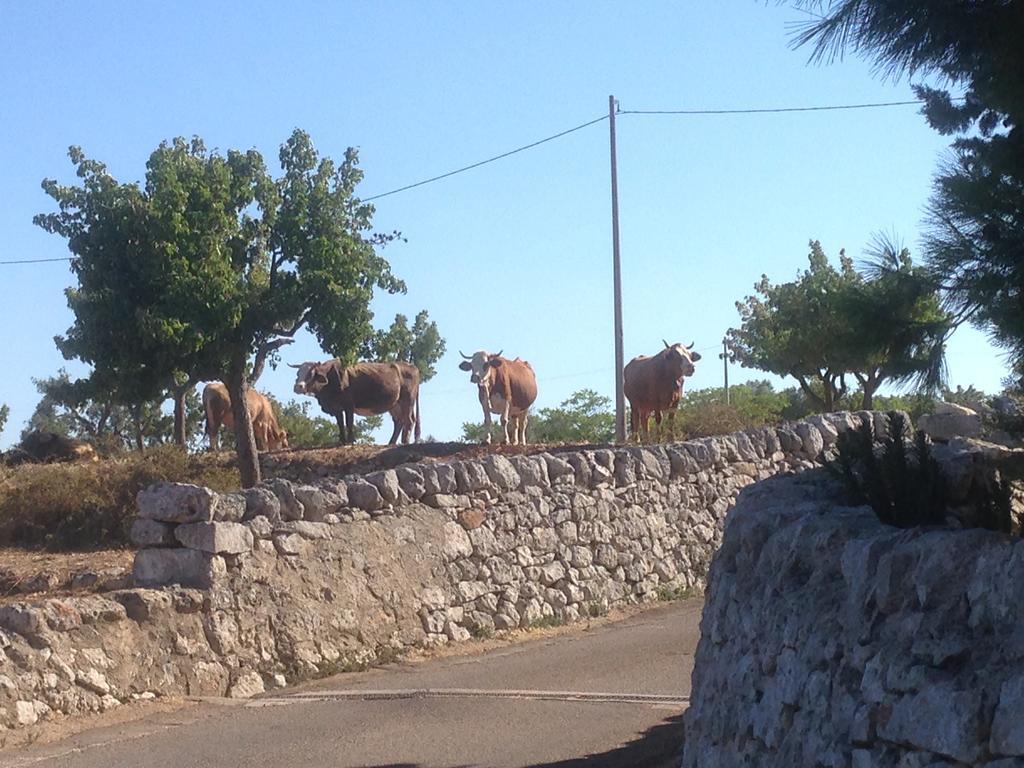 Trullo Picchiagiuda Villa Остуни Екстериор снимка