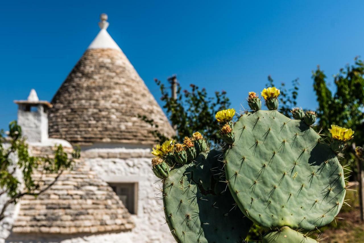 Trullo Picchiagiuda Villa Остуни Екстериор снимка